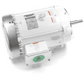 Leeson Washdown Pump Motors, 7-1/2 HP, 60 Hz 141270.00