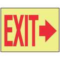 Accuform Exit Sign, Exit, 10"X14 MLAD519GP