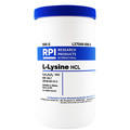 Rpi L-Lysine HCL USP Grade, 500g L37040-500.0