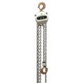 Oz Lifting Products Spark Resistant Chain Hoist OZSR010-10CH