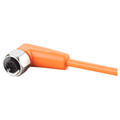 Ifm Single-Ended Cordset, 25 m L Cable EVT006