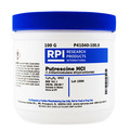 Rpi Putrescine, Dihydrochloride, 100g, Powder P41040-100.0