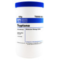 Rpi Tryptone, Powder, 500g T60060-500.0