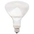 Current GE LIGHTING 250W, R40 Incandescent Heat Light Bulb 250R40/1/STG