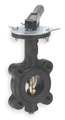 Milwaukee Valve Butterfly Valve, Lug, 2 In, CI, EPDM Liner CL223E 2