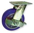 Zoro Select Swivel Plate Caster, Poly, 8 in., 900 lb., Blu 1NUX8