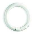 Current GE LIGHTING 22W, T9 Circular Fluorescent Light Bulb FC8T9/KB