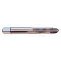 Zoro Select Spiral Point Tap Plug, 2 Flutes 20056