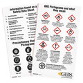 Ghs Safety Wallet Card, Chemical/HAZMAT Trng, PK50 GHS1015