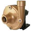 Dayton Centrifugal Pump Head, 5 HP, Bronze 10X668