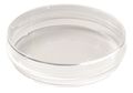 Lab Safety Supply 100x20mm TC Treated Dish w/Grip, PK300 11L824