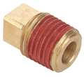 Parker Brass Square Head Plug, MNPT, 1/8" Pipe Size VS211P-2