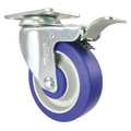 Cc Crest Swivel Plate Caster, Blue Rubber, 4", Caster Wheel Bearings: Ball CDP-Z-239