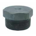 Anvil MNPT, Forged Steel Hex Head Plug, Class 6000 0361313208