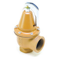 Watts Backflow Check Valve, 50 psi, 4237000 Btu 0383792