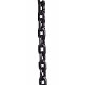 Dayton Load Chain Hoist GGS_57091