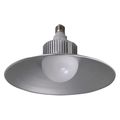 Stonepoint Led Lighting LED Utility Light Bulb, 4400 lm GGL-50SS