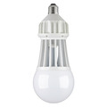 Stonepoint Led Lighting LED Big Bulb, 4275 lm BB50-KL