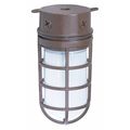 Nuvo 1-Light - 10in. - Industrial Style - Surface Mount with Frosted Glass - Old Bronze Finish SF76-625