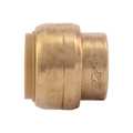 Sharkbite Push-to-Connect End Stop, 3/4 in Tube Size, Brass, Brass U518LF