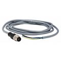 Telemecanique Sensors Cordset, 6.56 ft., Gray, 250VAC/300VDC XZCPV1564L2