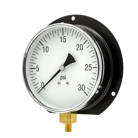 PIC GAUGES Gauge, 6" 0/30psi, 1/4"LM, Back Flange 115D-604C