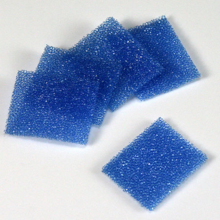 GLOBE SCIENTIFIC Biopsy Foam Pad, Blue, PK1000 190195