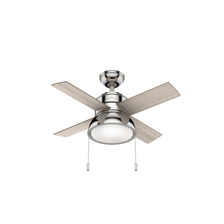 HUNTER Indoor/Outdoor Ceiling Fan, 1 Phase, 120 55078