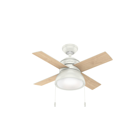 HUNTER Decorative Ceiling Fan, 1 Phase, 120 59385
