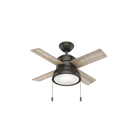 HUNTER Decorative Ceiling Fan, 1 Phase, 120 59387