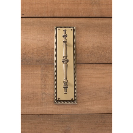 BRASS ACCENTS Academy Pull Plate, 3-1/8x12" A06-P0241-609