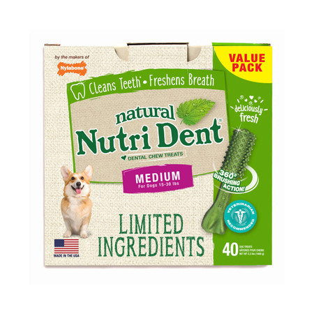Nylabone Nutri Dent Dental Chews Fresh Breath Med NTD442T40P