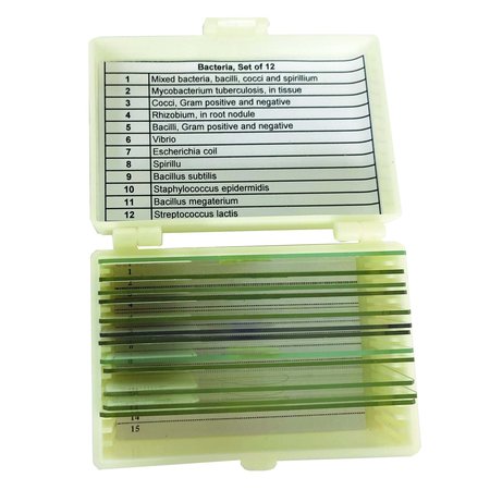 UNITED SCIENTIFIC Bacteria Slide Set of 12 UNSLBAC12