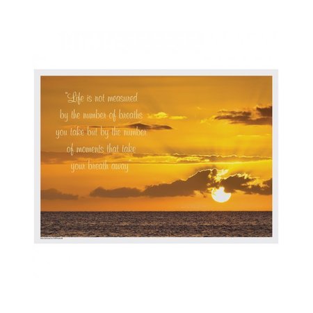 Hoffmaster 10" x 14" Inspirations Multipack Paper Placemats, PK1000 702086