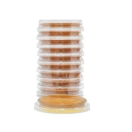 HARDY DIAGNOSTICS Malt Extract Agar, Lecithin and Twe, PK 10 P93