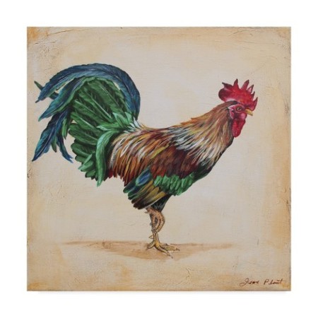 Trademark Global Jean Plout 'Rooster Feathers' Canvas Art - 18 x