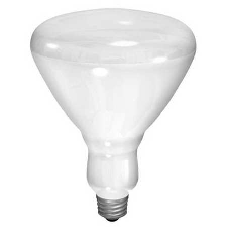 Current Incandescent Floodlight, BR40, 65W 65R40/FL/MI-1  120V