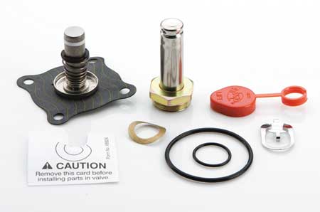 ASCO Valve Rebuild Kit 302350