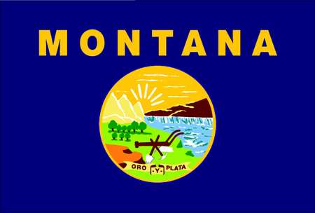 NYLGLO Montana State Flag, 3x5 Ft 143160