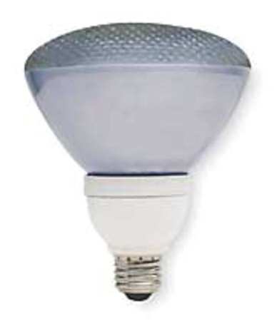 Current GE LIGHTING 26W, PAR38 Screw-In Fluorescent Light Bulb FLE26/2/PAR38/XL