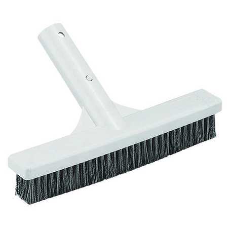 ZORO SELECT Algae Brush, SS, 9 In L 2ZTX9