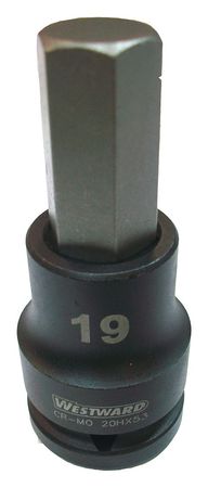 Westward 3/4 in Drive Impact Socket Bit 19 mm Size, Standard Socket, Black Oxide 20HX53