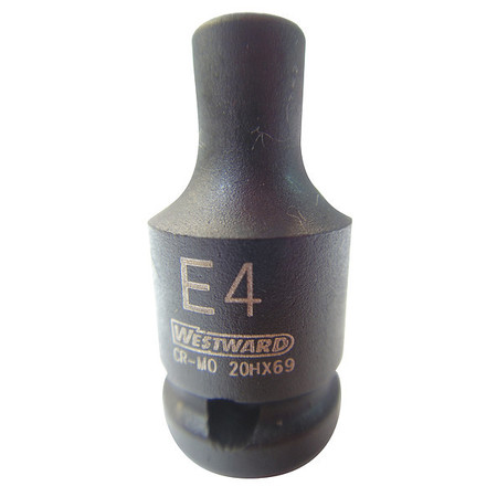 WESTWARD 1/4 in Drive, E4 Female Star SAE Socket, 6 Points 20HX69