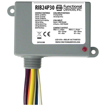 FUNCTIONAL DEVICES-RIB Enclosed Pre-Wired Relay, 30A@300VAC, DPDT RIB24P30