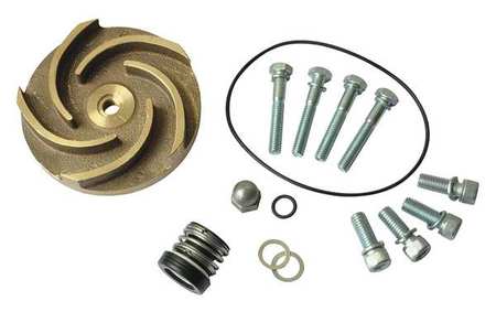 DAYTON Pump Repair Kit, For 2ZWR9A, 2ZWT1A 21TG54