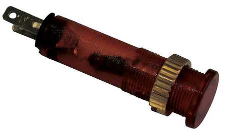 Dayton Flush Indicator Light, 8mm, 12V, Amber 22NY73