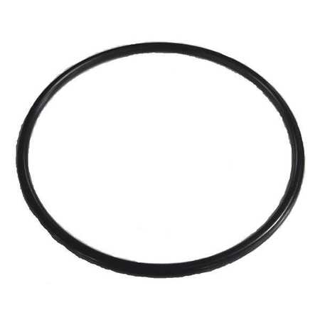 DAYTON O-Ring for Lid PP02011034G