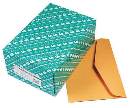QUALITY PARK Catalog Envelope, Light Brown, Kraft, PK100 QUA54301