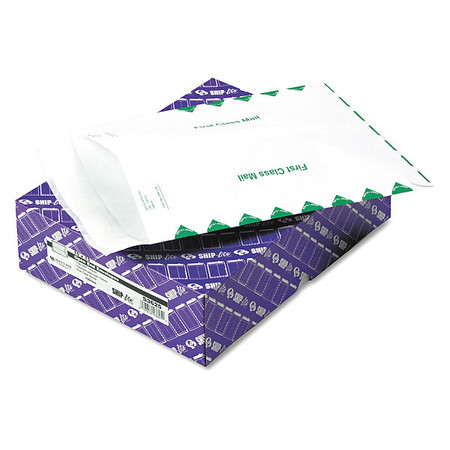 QUALITY PARK Shipping Envelope, Paper, PK100 QUAS3625