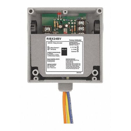 FUNCTIONAL DEVICES-RIB Enclosed Relay/Analog Current, 20A RIBX24BV